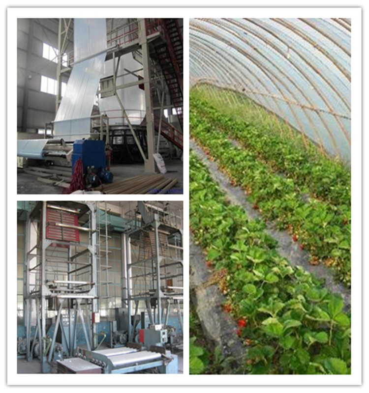 Greenhouse Film Blowing Machine